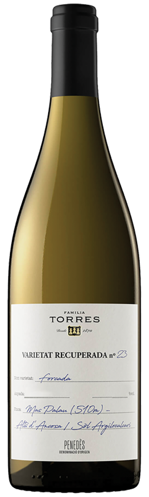 2019 Torres Penedes Forcada Wht